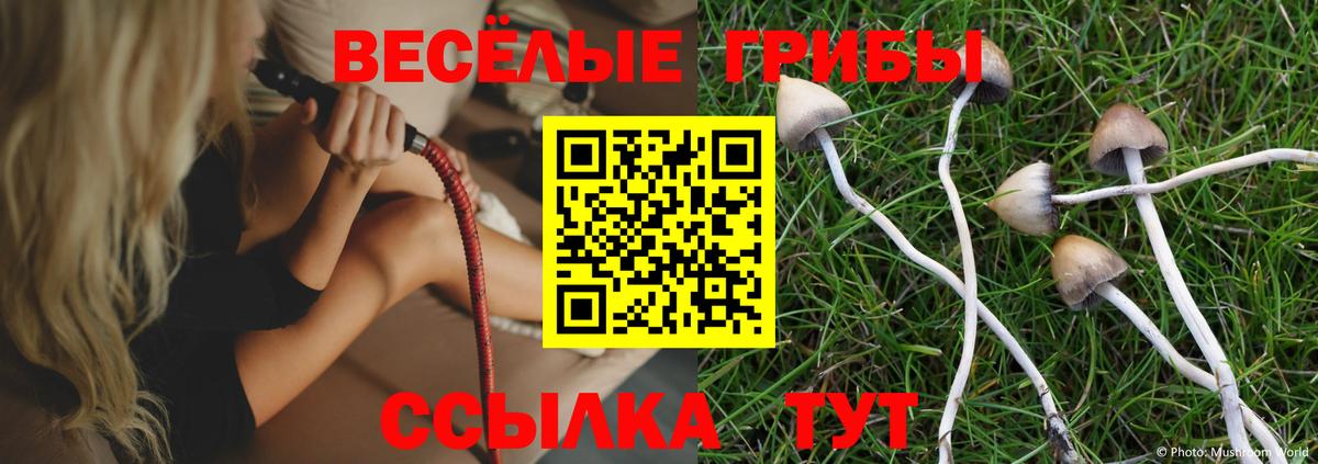 даркнет сайт  Вход с VPN  Псилоцибиновые грибы MAGIC MUSHROOMS  Острогожск  Псилоцибиновые грибы Magic Shrooms 